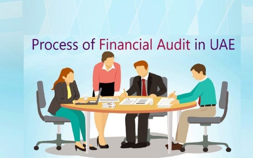 Financial Audit Services in Dubai, UAE